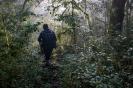 Desa Wisata Penglipuran Bali